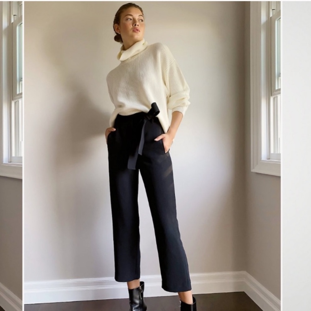 Aritzia pants